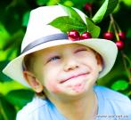 Дело в шляпе