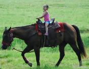 С ветерком солнечным днем