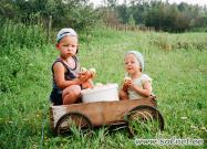 Поедем, красотка, кататься...