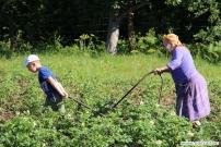 Мамины помощники