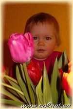 AURELIA