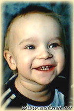 Sander
