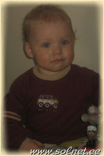 Sander