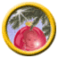 Новогодняя открытка