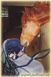 Виталий; 6 мес.; Эстония, Таллинн