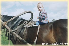 Данила Дьякович; 1,5; Самара, Россия