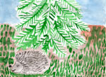«У ежа и ёлки иголки колки»