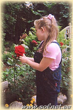 Алиса Стефанович