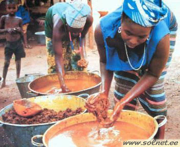 Получение пальмового масла в домашних условиях
