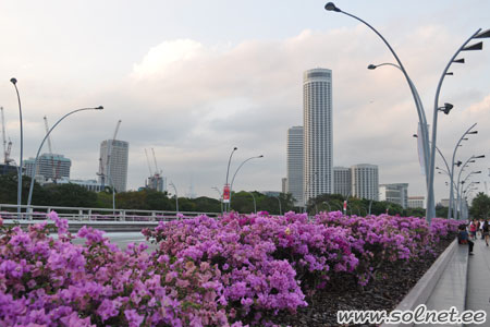 Прогулки по Сингапуру. Солнышко путешествует