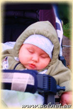 Никитуська