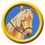Лошади – грация и сила