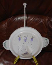 Космический пират