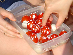 Мухоморчики