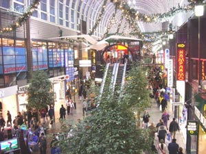 Все магазины преображаются к Рождеству. Их украшают изнутри и снаружи.