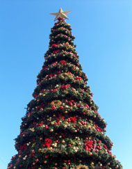 Афины, главная елка