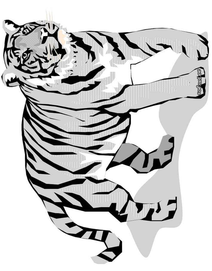 Рисунок тигра. Как раскрасить тигра для панно или плаката