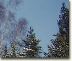 ноябрь 2004