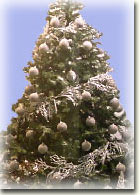 декабрь 2004